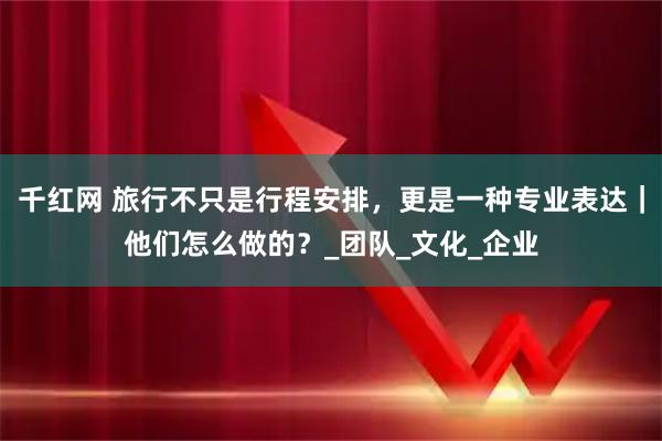 千红网 旅行不只是行程安排，更是一种专业表达｜他们怎么做的？_团队_文化_企业