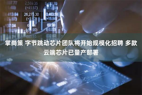掌尚策 字节跳动芯片团队将开始规模化招聘 多款云端芯片已量产部署