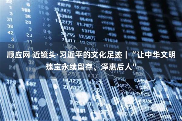 顺应网 近镜头·习近平的文化足迹｜“让中华文明瑰宝永续留存、泽惠后人”